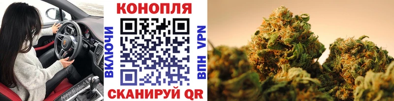сколько стоит  Грязовец  Каннабис Amnesia 